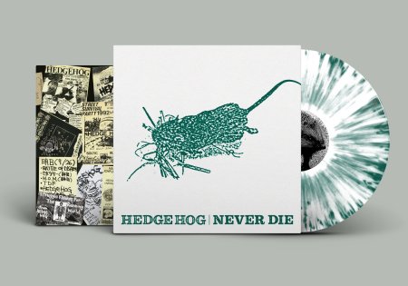 F.O.A.D. Records » Hedge Hog